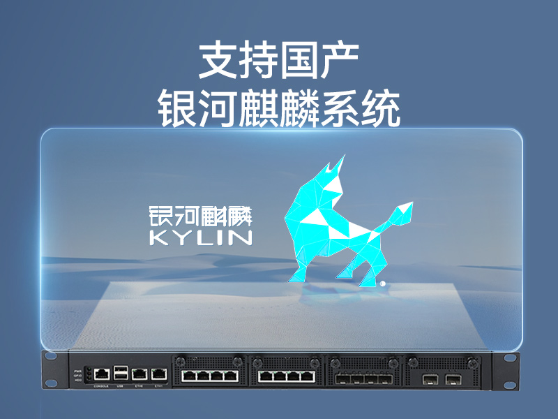 飛騰國產化工控機|國產化系統(tǒng)|DT-12420-SD2000